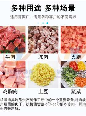 鲜肉微冻肉全自动切丁机 生牛羊肉五花肉一次成型多功能切块机