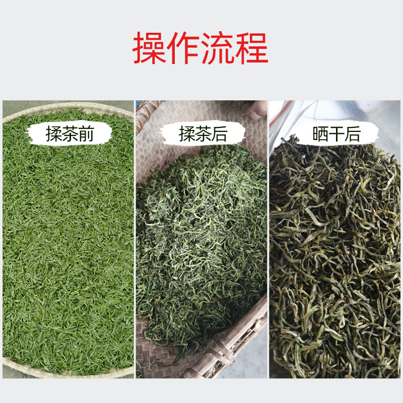 揉茶机家用小型全自动制茶不锈钢电动绿茶红茶叶揉捻成条机器设备 - 图1