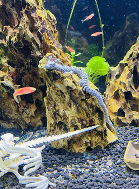 新款BVS7BJD迷你龙 微缩景观 鱼缸造景摆件 假山沙盘水族箱装饰3d