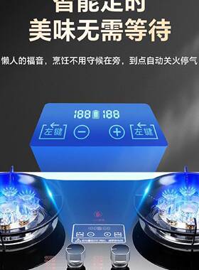 樱花山2026新款燃气灶家用双灶煤气猛火灶不锈钢灶具天然气液化气