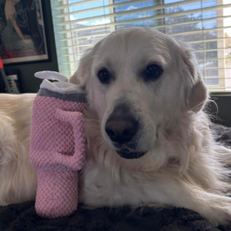 跨境批发宠物用品毛绒水杯宠物玩具狗工厂咬玩具耐磨牙发声 - 图0