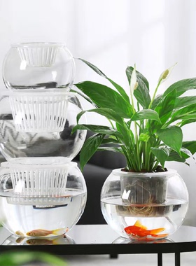 创意水培植物透明亚克力花瓶容器绿萝花盆养花绿植器皿防摔鱼缸大