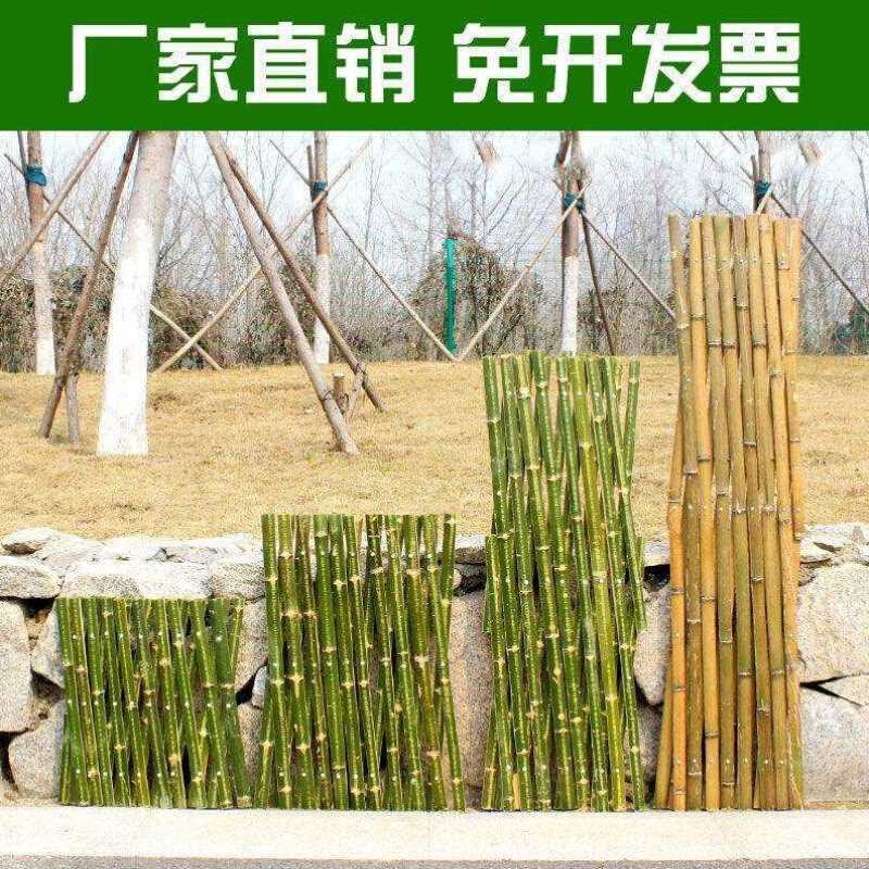 伸缩竹篱笆竹子栅栏围栏户外庭院菜园护栏围墙花园竹片月季爬藤架 - 图3