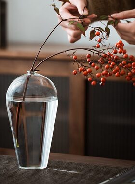 日式玻璃花瓶禅意梅瓶家居餐桌客厅插花摆件水培花器玻璃透明花瓶