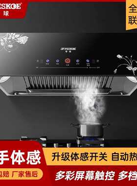半球中式抽油烟机大吸力壁挂油烟机厨房家用顶吸油烟机出租屋老式