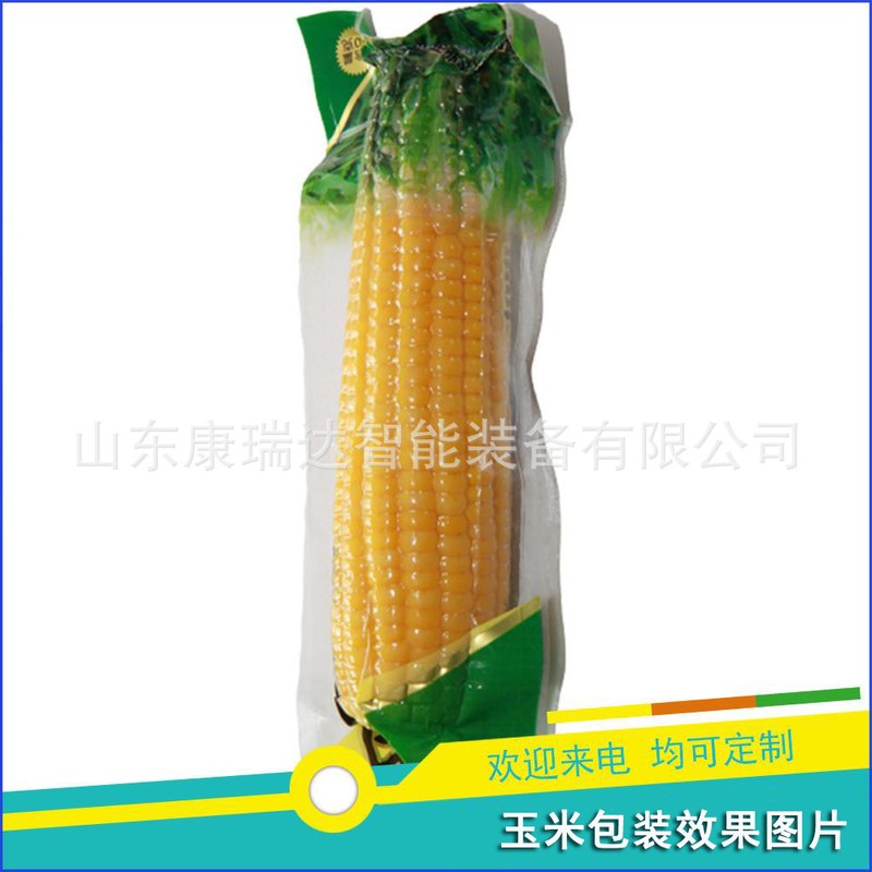 DZ600双室真空包装机 干湿两用真空封口机 鸭脖摆盖式真空封口机,淘宝优惠券,粉丝福利购,淘宝优惠卷