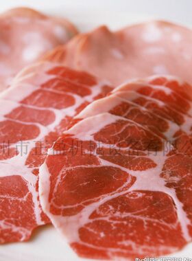 ZYR-130A切肉机 不锈钢肉片肉丝机 全自动鲜肉切丝切片机绞肉机