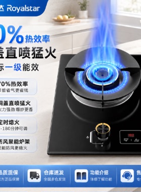 荣事达燃气灶单灶猛火煤气灶家用天然气嵌入式灶具液化气台式炉具