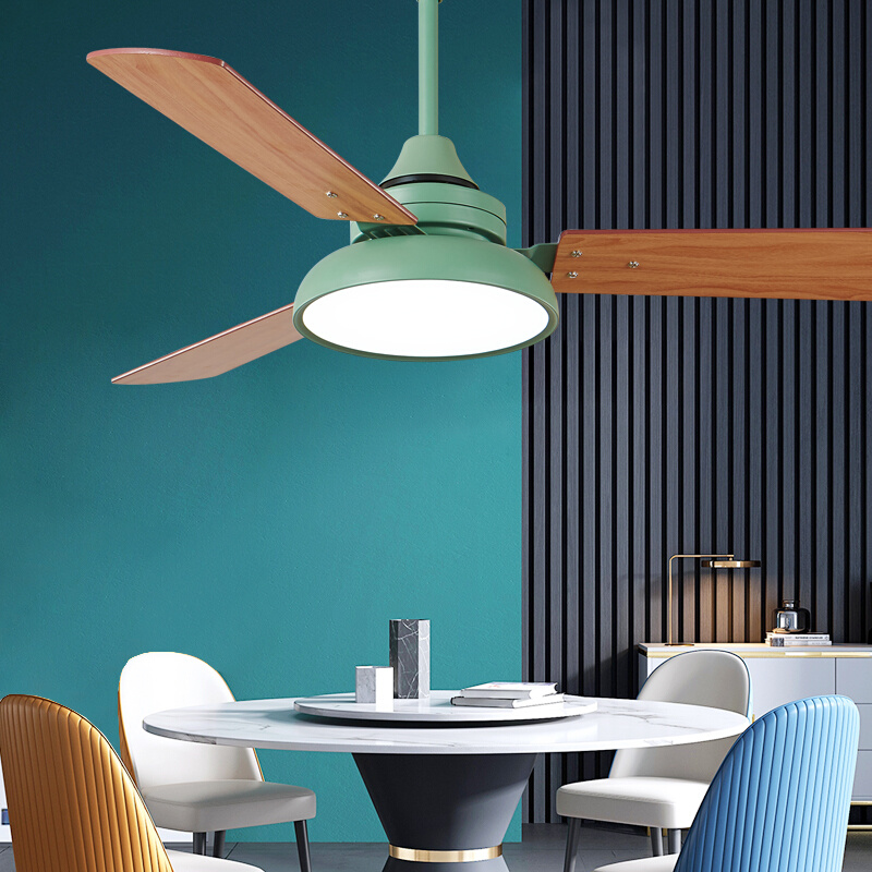 北欧简约餐厅风扇灯变频木叶吊扇灯客厅卧室家用一体2022新款吊灯 - 图1