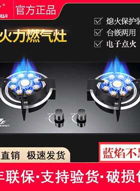 申花燃气灶煤气灶双灶头家用天然气灶液化气节能猛火台嵌二用
