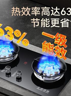 樱花山煤气双灶家用燃气灶嵌入式台式天然气液化气天燃气猛火炉具
