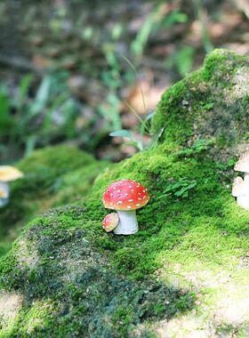 仿真蘑菇微景观配件春天假山盆景装饰品DIY春天种植花园庭院装饰