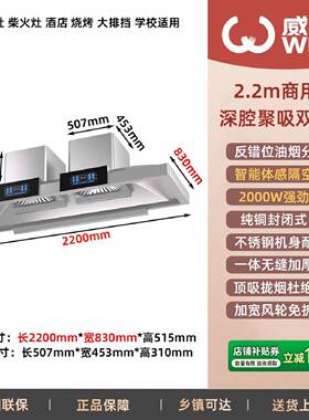 威力不锈钢商用顶吸双塔油烟机大吸力适配土灶餐馆食堂油烟机