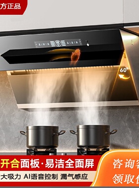 新飞大吸力抽油烟机家用厨房双电机排油机出租房小型侧吸自动开合