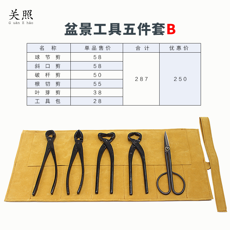 盆景球节剪球钳盆栽树瘤树节修剪钳专业园艺花艺制作造型养护工具 - 图0