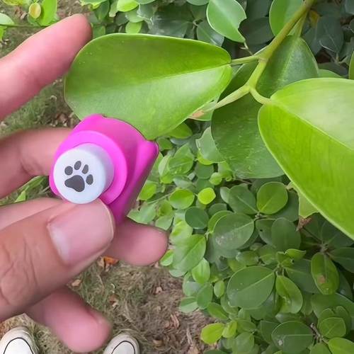 创意熊掌压花器可爱卡通印花机儿童打孔机玩具DIY迷你小号打洞器 - 图0