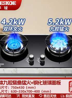 半球燃气灶双灶具家用液化气天然气煤气灶一级能效猛火大火力