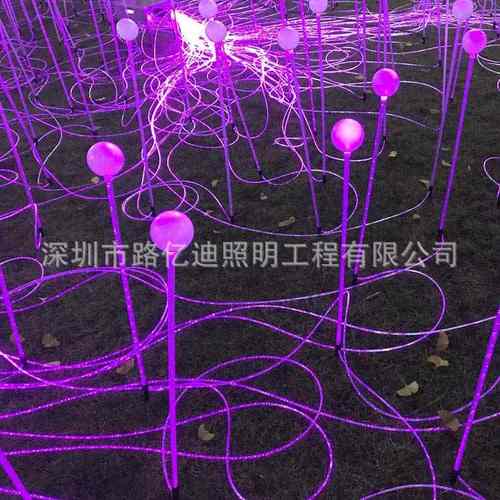 光纤草坪灯 LED户外导光条 光源机 户外装饰发光灯地插圆珠芦苇灯 - 图1