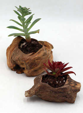 厂家销售松树瘤木雕摆件家居 多肉小花盆装饰品客厅工艺品包邮