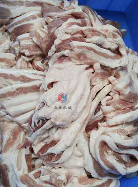 供应鲜肉切片机牛肉猪肉食堂专用切肉机商用肉片肉丝机食品级高效