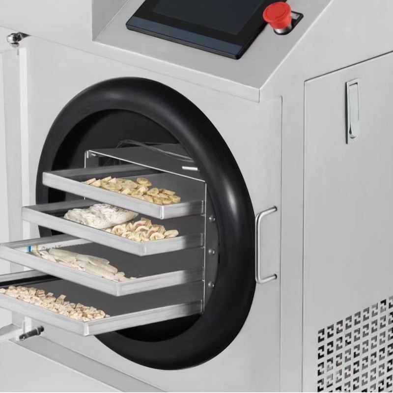 蔬菜水果中药宠物食品家用冻干机6平方真空冷冻干燥机实验室专用,淘宝优惠券,粉丝福利购,淘宝优惠卷