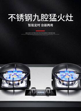 新飞家用燃气灶双灶定时嵌入式炉灶具天然气液化气煤气灶台式猛火
