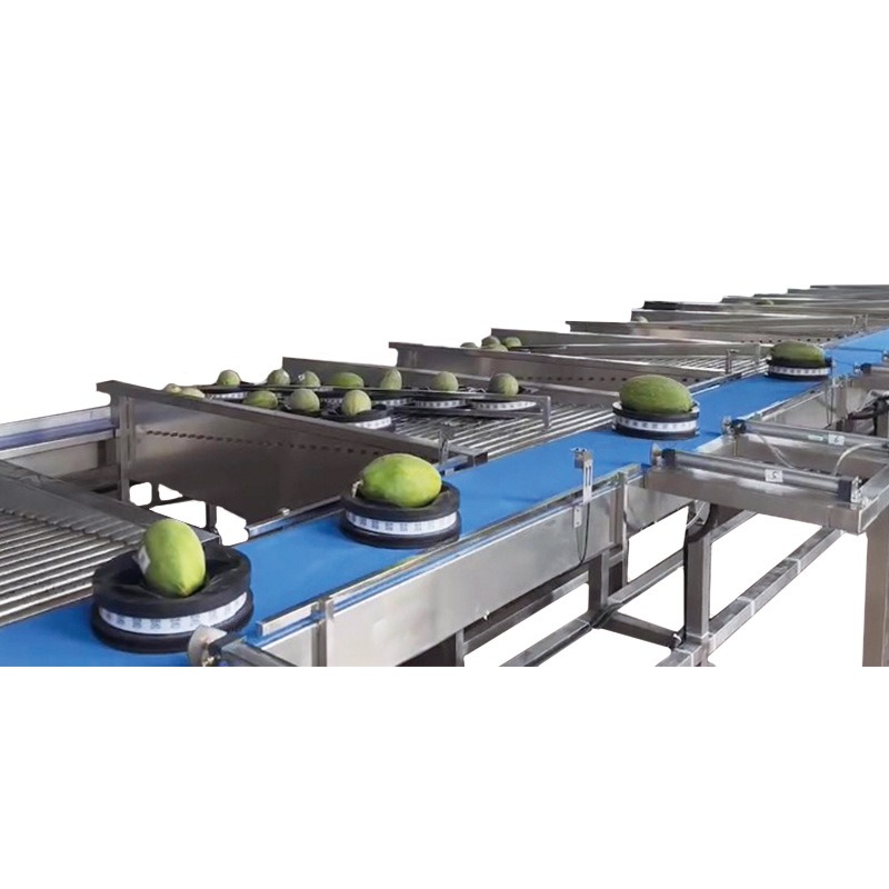 释迦果选果机 砀山梨无损分选机 水果分拣机价格苹果分级机厂家,淘宝优惠券,粉丝福利购,淘宝优惠卷