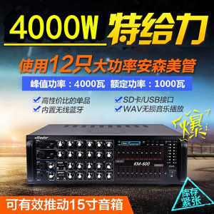 VLLIODOR/葳多尔 DS-1030专业大功率舞台家用KTV蓝牙功放音响卡拉