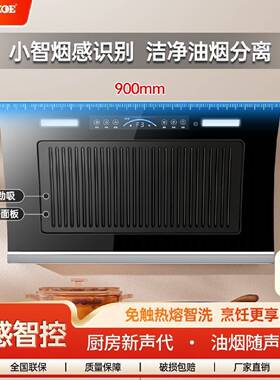 半球油烟机家用侧吸大吸力厨房壁挂式抽油烟机双电机自动清洗智能