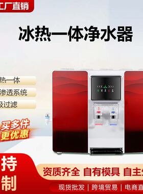 冰热净化器一体机净水器家用台式挂壁水垢RO反渗透直饮纯水机