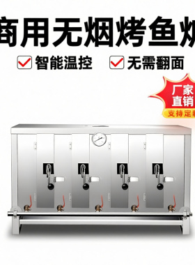 燃气烤鱼炉商用无烟煤气液化气电烤鱼炉不锈钢烤鱼机烤鱼箱碳烤炉