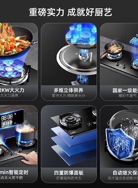 威力双灶猛火灶台式天然气燃气灶具液化气煤气灶嵌入式节能家用