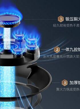 夏新燃气灶双灶家用天然气台式嵌入式定时液化气猛火节能灶