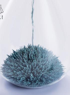 新疆包邮马鹿鲸鱼磁力沙漏创意摆件高级小众礼物解压办公室桌面工