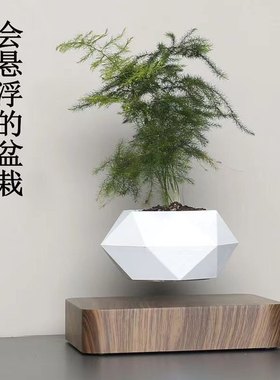 HCNT磁悬浮花盆ins日式创意摆件礼物简约花盆网植物桌面小流行红