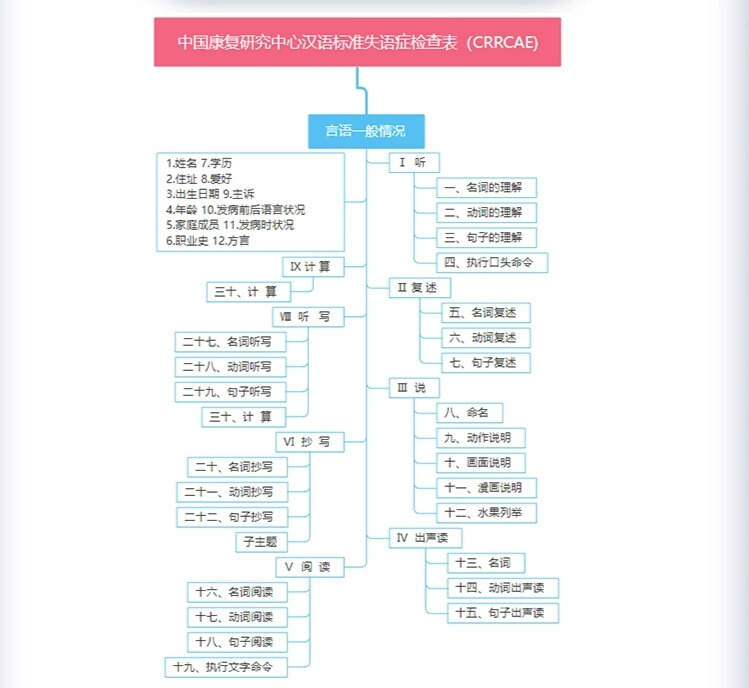 中国康复研究中心汉语标准失语症套装检查评估量表工具箱包CRRCAE - 图0