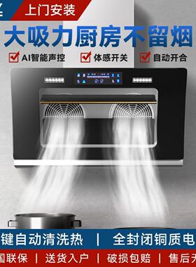 新飞大吸力抽油烟机家用厨房双电机排油机出租房小型侧吸自动开合