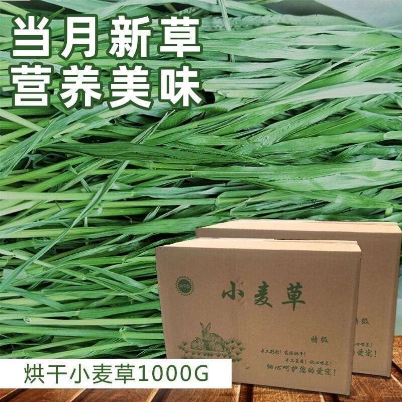 速发小麦草包邮烘干小麦兔子猪新鲜小麦苗清香干工厂一件直供 - 图0