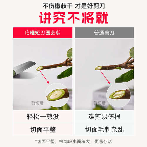 花艺剪刀剪花专用园艺修枝剪家用花店鲜切枝通用修花剪刀鲜花插花 - 图2