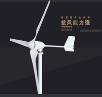 Wind generator home 12V24V220v permanent magnet small wind energy generator with scenic and complementary control