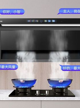 半球大吸力抽油烟机厨房家用新款7字型顶侧双吸出租房抽油烟机