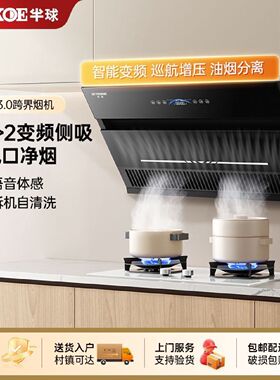 半球抽油烟机家用厨房侧吸自动清洗壁挂式油烟机变频大吸力出租房