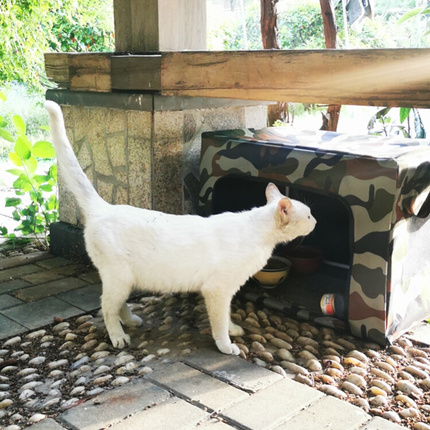 。猫窝猫别墅室外流浪猫户外喂食屋遮雨棚喂食器防雨棚户外投喂棚