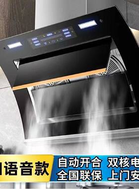 新飞抽油烟机双电机侧吸大吸力吸油烟机家用厨房静音小型自动清洗