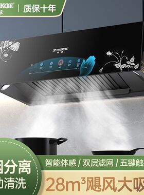 半球大吸力家用厨房抽油烟机出租屋小型吸油烟机中式顶吸式油烟机