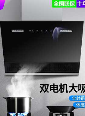 申花抽油烟机家用厨房大吸力小尺寸405060侧吸式公寓出租房吸油机