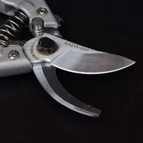 修枝剪 佐田进口花剪刀园艺修剪树枝果树剪子粗枝剪果修枝剪 - 图0