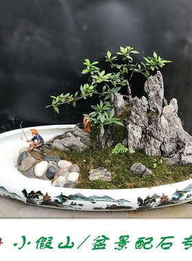 鱼缸造景石头天然青龙石水族水草石自己做水陆缸假山石头套餐摆件