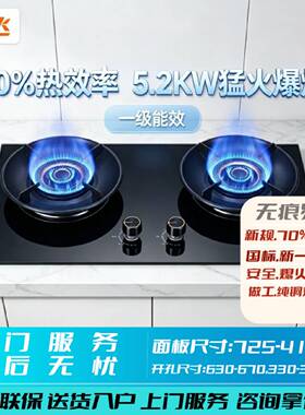 铜中心新飞新标燃气灶70热效猛火灶家用天然气液化气煤气