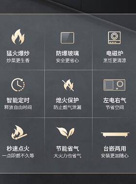 荣事达气电一体两用灶双灶家用煤气天然气燃气灶台嵌两用煤气灶